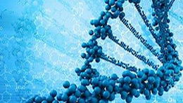 儀器信息網食品安全技術交流會暨技術轉讓合作論壇