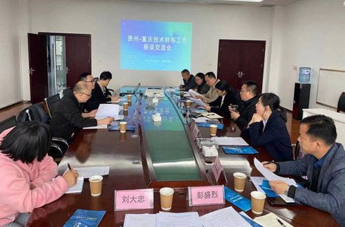 區(qū)域協(xié)同推進中匈技術(shù)交流與合作 技術(shù)轉(zhuǎn)讓的機遇與挑戰(zhàn)